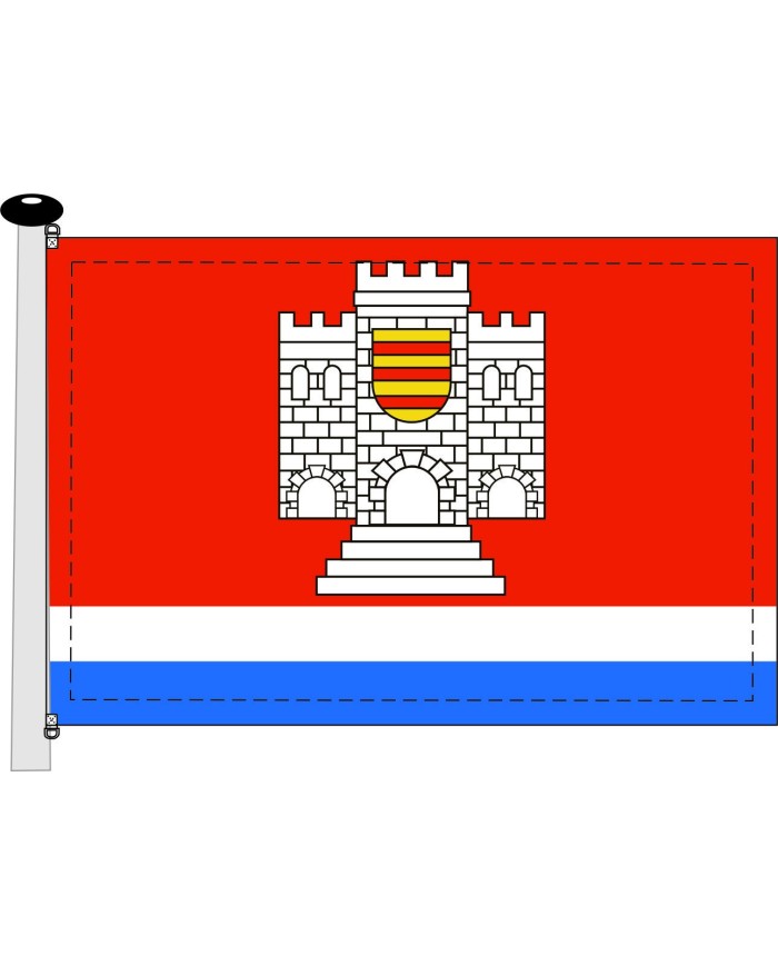 Bandera Montemayor