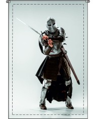 Bandera Guerrero coraza y espada