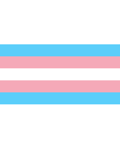 Bandera Orgullo Trans LGTBIQA+ Bandera Orgullo Trans LGTBIQA+